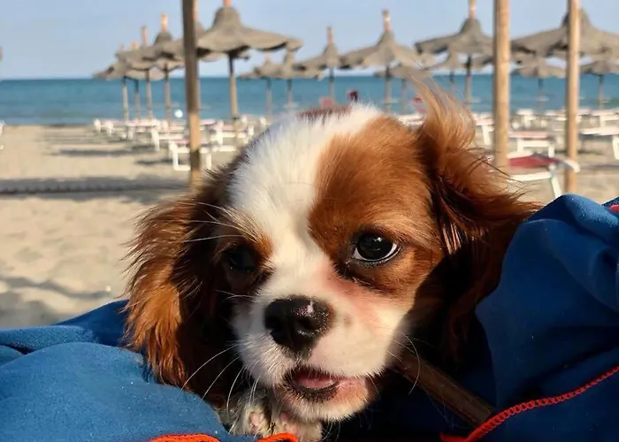 Casa Elegiò - Blue Village 2 * Marina Di Pisticci